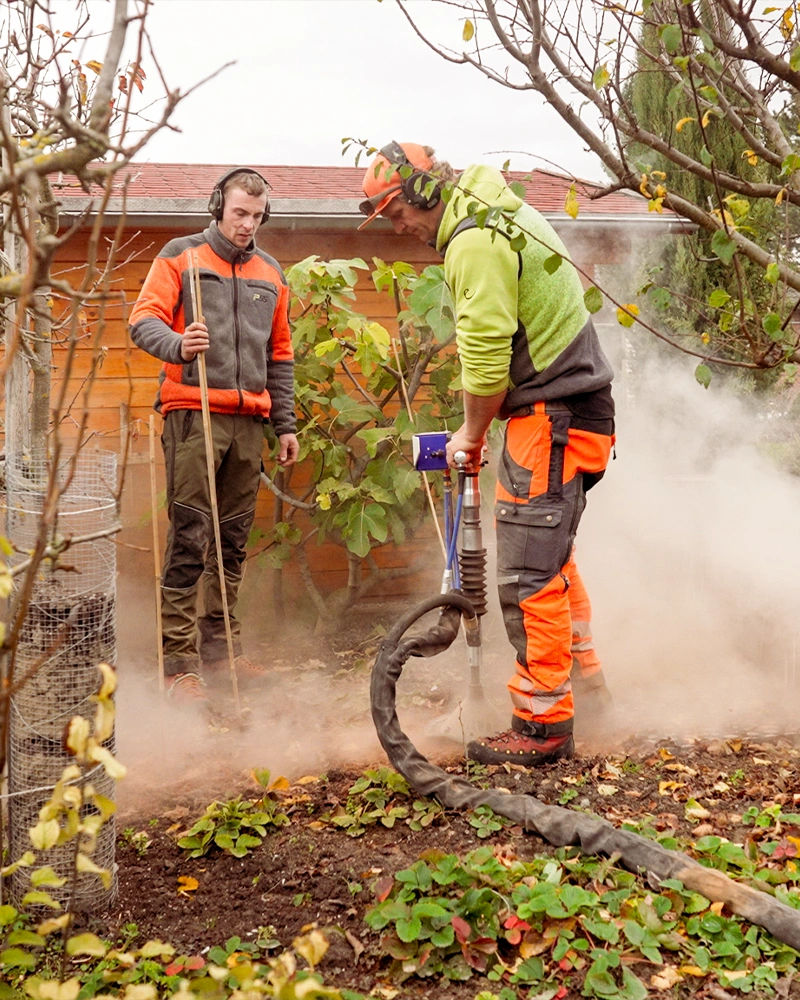 Baumpflege-Rheinhessen_Galerie-14