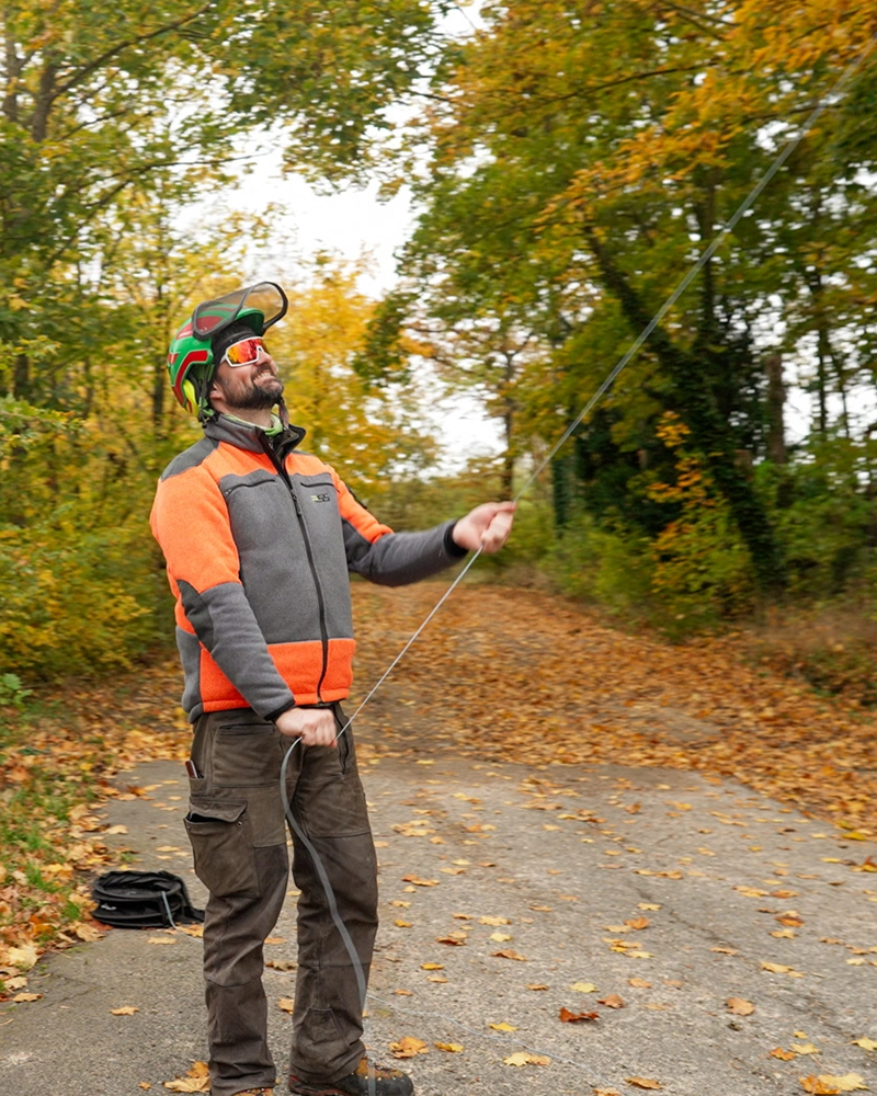 Baumpflege-Rheinhessen_Galerie-15