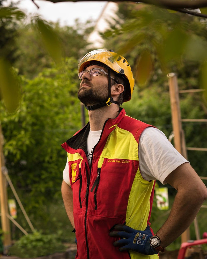 Baumpflege-Rheinhessen_Galerie-5