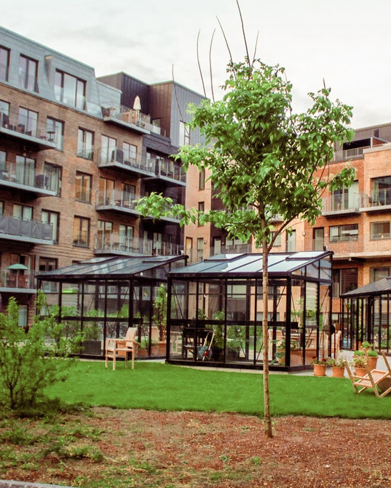 Baumpflege-Rheinhessen_Galerie-6