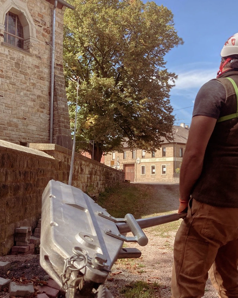 Baumpflege-Rheinhessen_Galerie-7